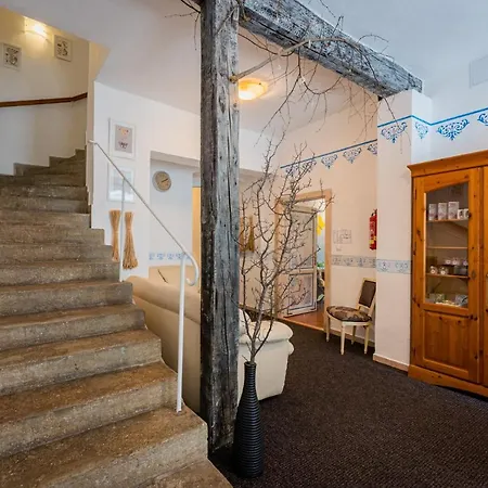 U Babky Bylinkarky Guest house 3*