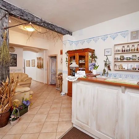 Maison d'hôtes U Babky Bylinkarky 3*