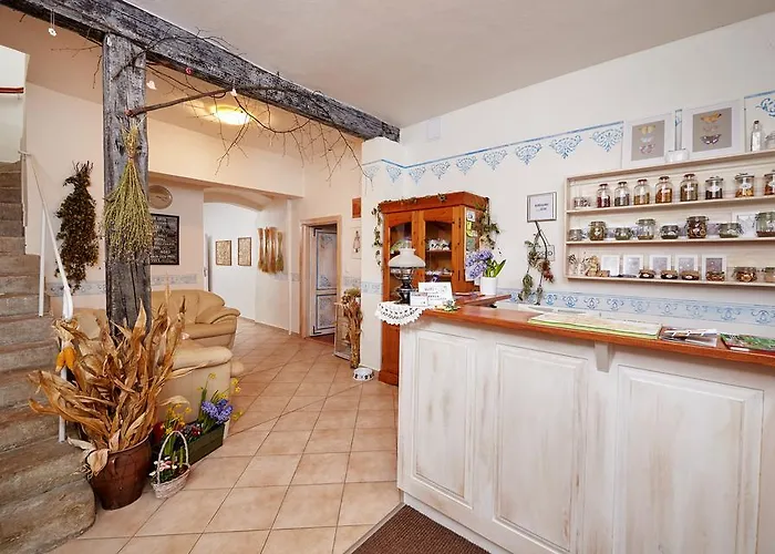 Konukevi U Babky Bylinkarky 3*